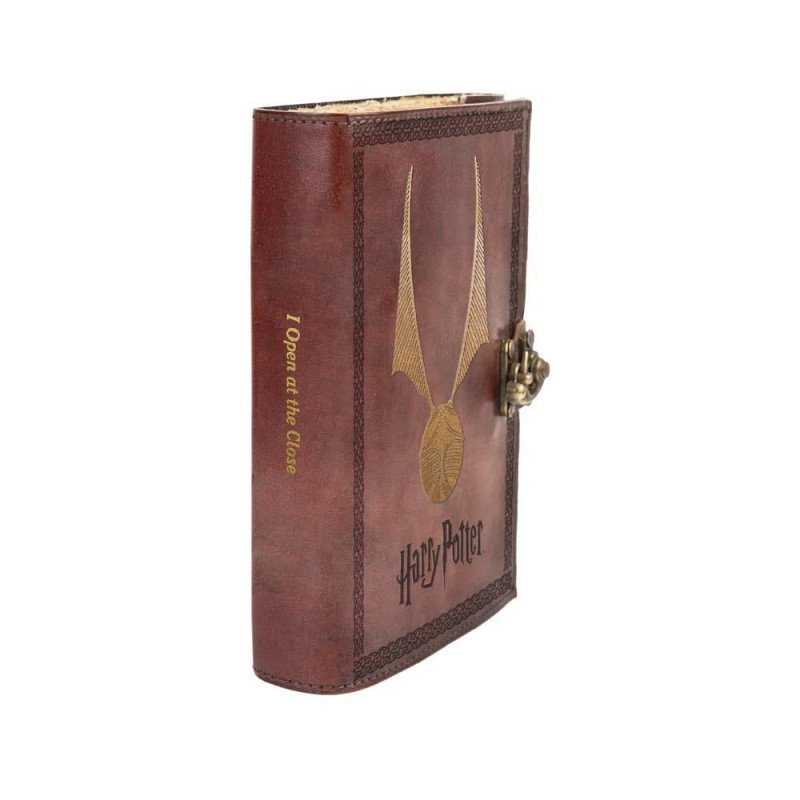 Taccuino in pelle Harry Potter boccino