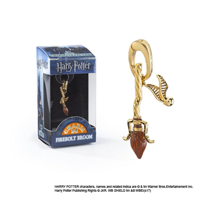 Charm Scopa Volante e Boccino d'Oro Harry Potter