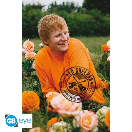 Poster Ed Sheeran 91x61 cm