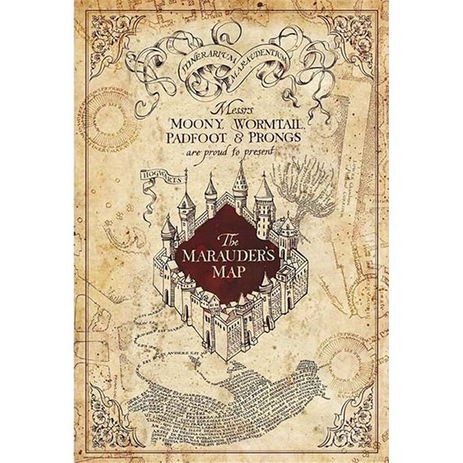 Poster Mappa del Malandrino Harry Potter 91x61cm